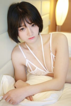 专约老阿姨团队现状分析_DVD高清免费观看